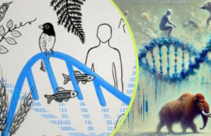 Crean inteligencia artificial que puede ‘leer y escribir’ el ADN y detecta enfermedades: así funciona