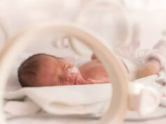 Investigadores descubren un mecanismo que relaciona la hipoxia neonatal con problemas de memoria