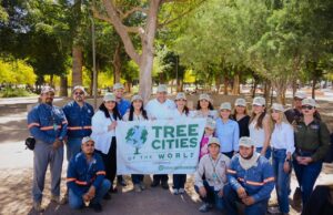 Celebra Toño Astiazarán reconocimiento de Hermosillo como Ciudad Árbol en el Mundo con siembra de guayacanes en el Parque Madero