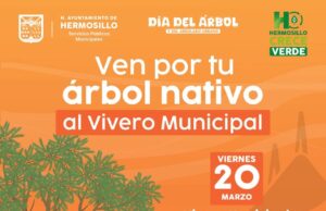 Este viernes 20 el Vivero Municipal donará árboles nativos