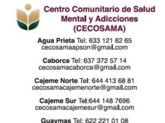Servicios de salud mental permanecerán activos durante Semana Santa en Sonora