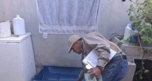 Exhorta Secretaría de Salud a mantener la limpieza del hogar para prevenir la rickettsia