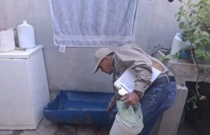 Exhorta Secretaría de Salud a mantener la limpieza del hogar para prevenir la rickettsia