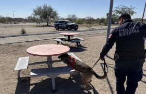 Olfato que protege: Binomio K-9 de la PESP obtiene resultado positivo en inspección preventiva