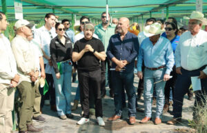 Gobierno de Sonora arranca Programa Estatal de Reforestación “Por un Sonora Sustentable”