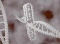 Crean robots de ADN capaces de moverse por el cuerpo y atacar enfermedades directamente dentro de nuestro organismo