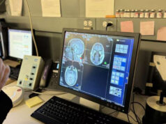 Qué pasa en el cerebro cuando imaginamos, según un estudio