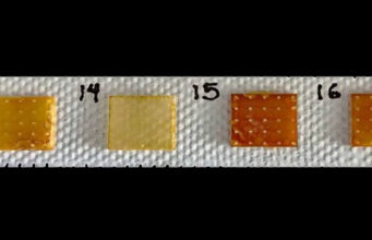 Científicos de la UNAM crean parche con microagujas para controlar la hipertensión sin pastillas; usan proteína de maíz