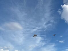 Realiza Gobierno Municipal concurso de papalotes con categoría especial para aquellos hechos con material reciclado