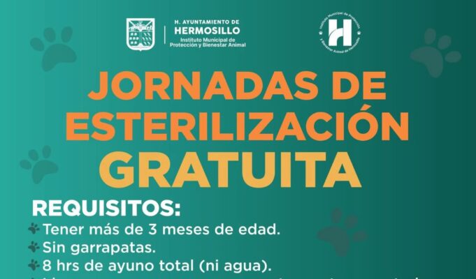 Mantiene agenda abierta Ayuntamiento de Hermosillo para esterilizaciones gratuitas para perros y gatos