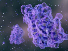 Investigadores descubren una molécula que ataca la raíz metabólica de la obesidad en el tejido graso