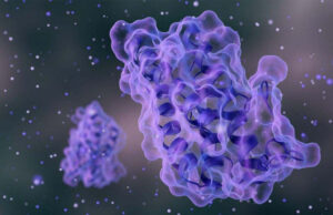 Investigadores descubren una molécula que ataca la raíz metabólica de la obesidad en el tejido graso