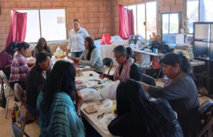 Reconoce SSPC Sonora a Mujeres Constructoras de Paz como aliadas en la generación de entornos seguros