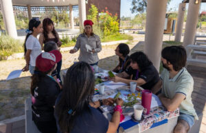 Gobierno de Sonora destaca alta afluencia en actividades del fin de semana en el Bosque Urbano La Sauceda