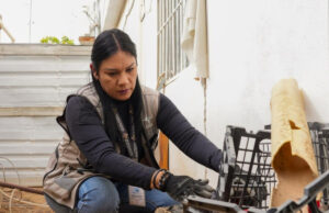 Promueve Salud Sonora estrategia “Casa Limpia” para prevenir enfermedades