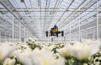 Drones inspirados en las abejas