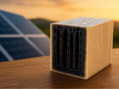 Los investigadores no dan crédito: desarrollaron una madera que produce energía solar aunque no haya luz