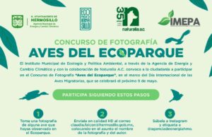 Conmemora Gobierno de Hermosillo Día Internacional de las Aves Migratorias con un concurso de fotografía