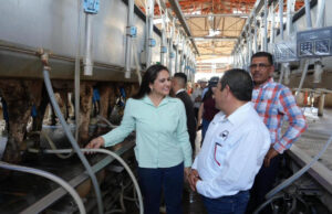 Gobierno de Sonora fortalece la productividad lechera con programa de mejoramiento genético