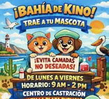 Impulsa Gobierno de Hermosillo jornadas gratuitas de castración a Bahía de Kino