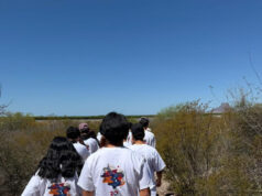 Participan estudiantes de Conalep Sonora en Campaña de Reforestación de Manglares