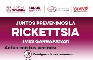 Exhorta Salud Sonora a reforzar limpieza en temporada de calor para prevenir rickettsia