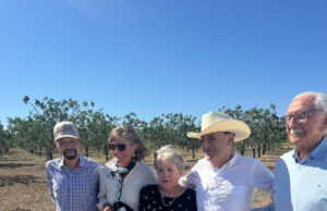 Gobernador Durazo y Gobierno de México fortalecen la conservación del bisonte en Sonora
