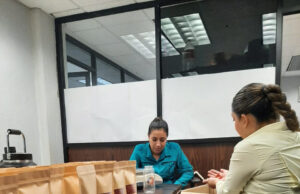 Gobierno de Sonora logra con éxito segunda cosecha de chiltepín de alta producción y fácil recolección: UTEchojoa