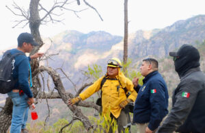 Protección Civil Sonora y autoridades de los tres niveles de gobierno atienden incendio forestal en Álamos