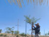 Programa Reconecta con la Paz contribuye en el mejoramiento del Bosque Urbano La Sauceda