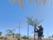 Programa Reconecta con la Paz contribuye en el mejoramiento del Bosque Urbano La Sauceda
