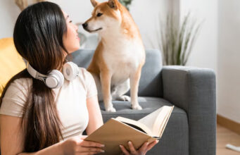 Científicos descubren qué parte de la cara observan primero los perros para reconocer a una persona