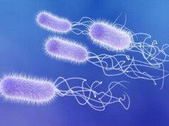 Investigadores españoles crean una prueba que detecta una superbacteria en 4 horas