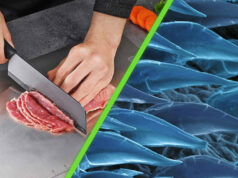 Científicos crearon superficies para cocina anti microbios con un método inesperado: imitaron la piel de los tiburones