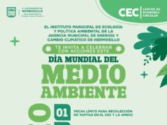 Invita Ayuntamiento de Hermosillo a celebrar Día Mundial del Medio Ambiente con actividades