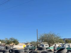 Recolecta Gobierno de Hermosillo más de 5 mil 130 llantas con el programa Llantatón por tu Salud