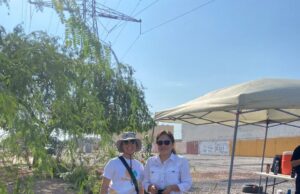 Retiran 567 llantas en Llantatón por Nuestra Salud en Urbi Villa del Prado
