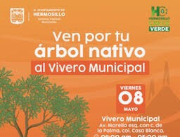 Donará Gobierno de Hermosillo árboles nativos este viernes 8 de mayo