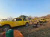 Fortalece CEPC acciones de combate al incendio forestal en Tarachi