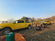 Fortalece CEPC acciones de combate al incendio forestal en Tarachi