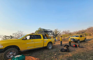 Fortalece CEPC acciones de combate al incendio forestal en Tarachi
