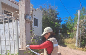 Refuerza Salud Sonora prevención del dengue mediante ovitrampas