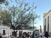 Gobierno de Sonora impulsa el consumo local y el emprendimiento con el Mercadito Emprendedor