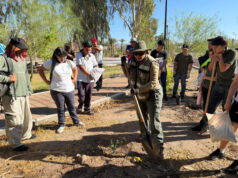 Gobierno de Sonora reúne a visitantes con actividades gratuitas en el Bosque Urbano La Sauceda