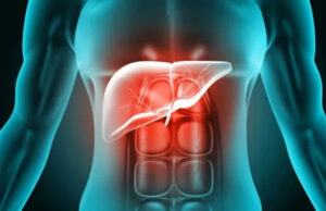 Crean un ‘páncreas artificial’ que produce insulina dentro del cuerpo