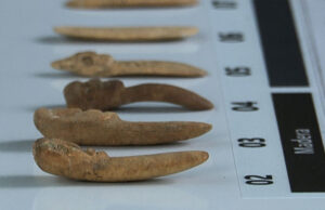 Fabuloso hallazgo en Peñico: descubren una ofrenda ritual de 3 800 años de antigüedad