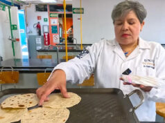 Tortillas más nutritivas y menos calóricas, la UNAM innova con receta