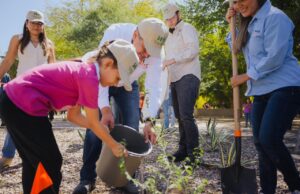 Plantación de más 113 mil árboles ayudan a mejorar el medio ambiente: Toño Astiazarán