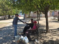 Durante verano se fortalecerá producción de árboles nativos