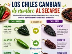Los chiles cambian de nombre al secarse: una tradición culinaria con siglos de historia